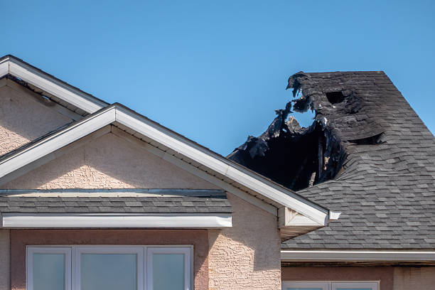 Top rated local Board Up Services specialists in Dundas, MN